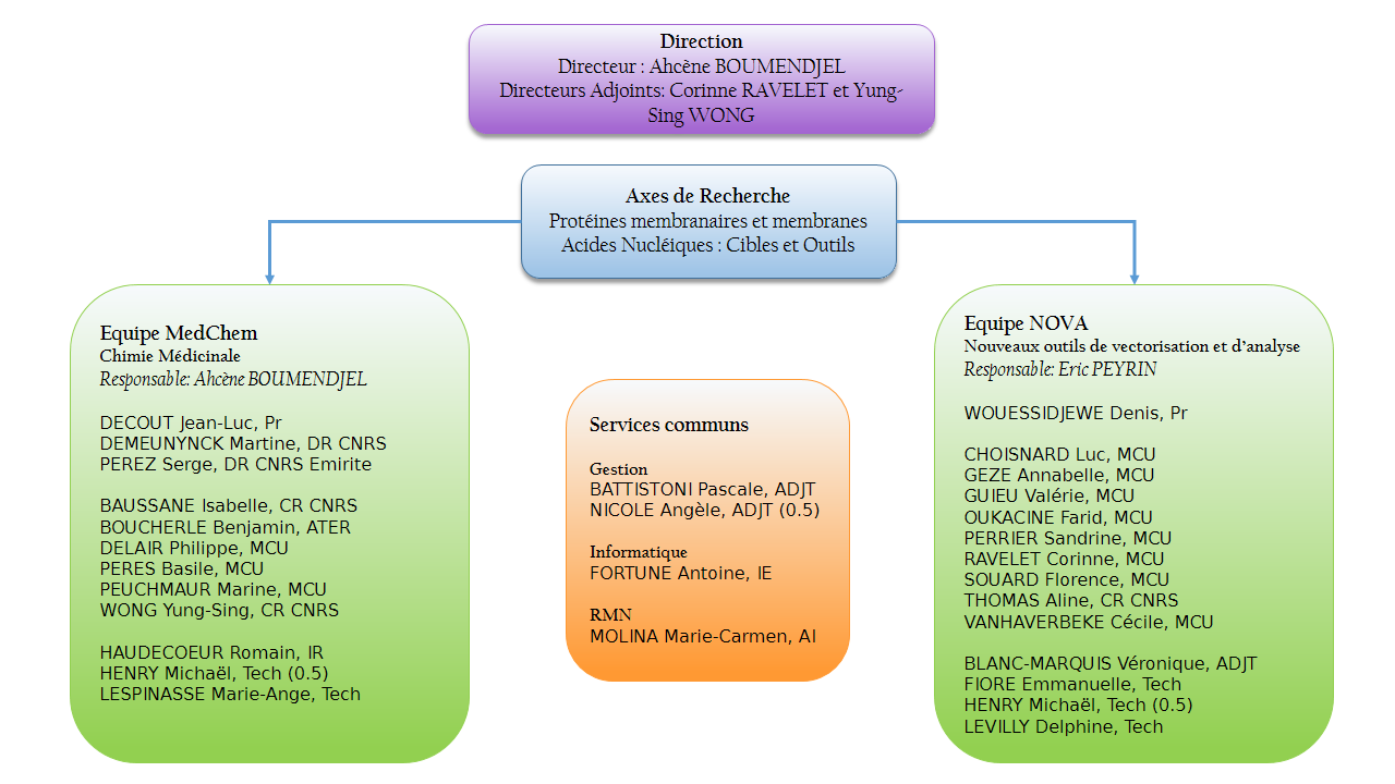 Organigramme du DPM